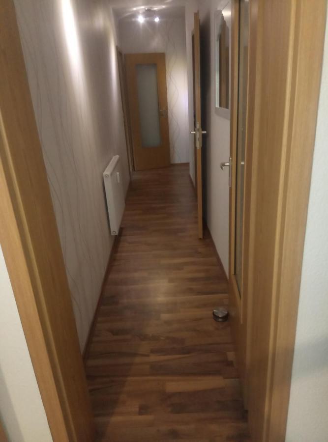 Ferienwohnung Rickyy Reichenbach im Vogtland Ngoại thất bức ảnh